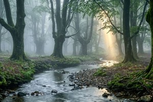 Beren and Lúthien: The Next Middle-earth Film? | Explained