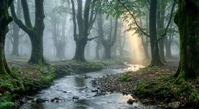 Beren and Lúthien: The Next Middle-earth Film? | Explained